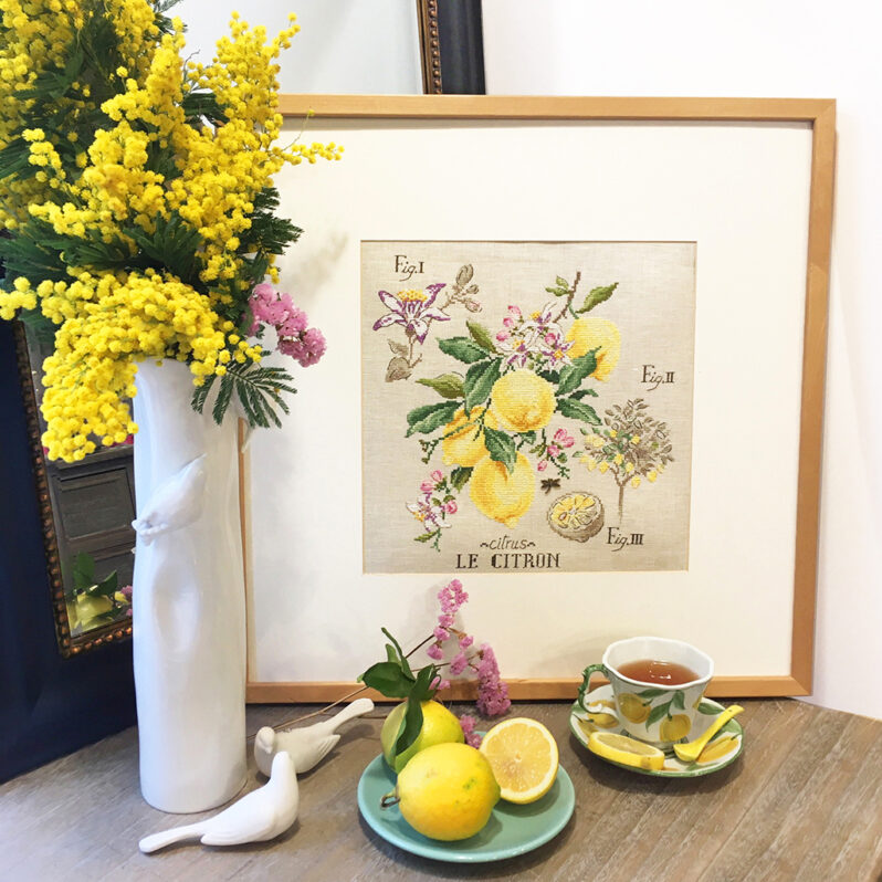 etude-citron-1024