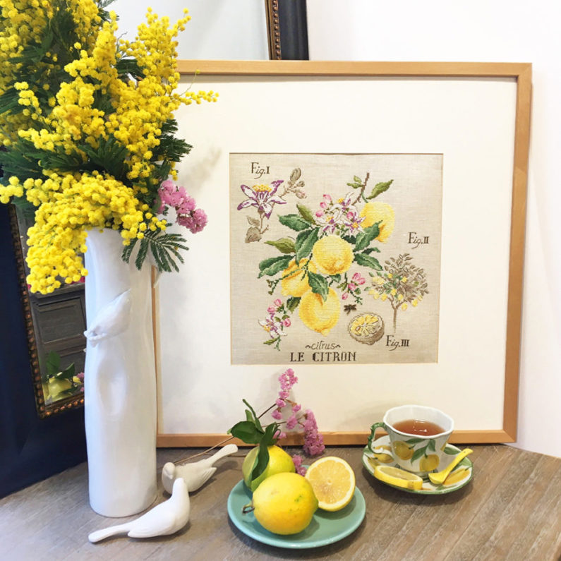 etude-citron-1024