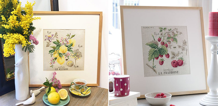 citrons-et-framboises-2