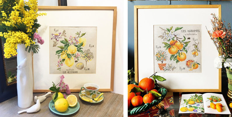citrons-et-agrumes