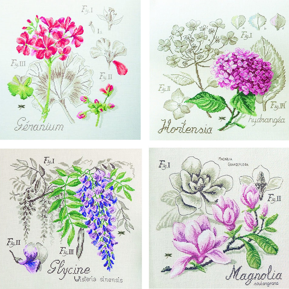 les-etudes-aux-fleurs-bis