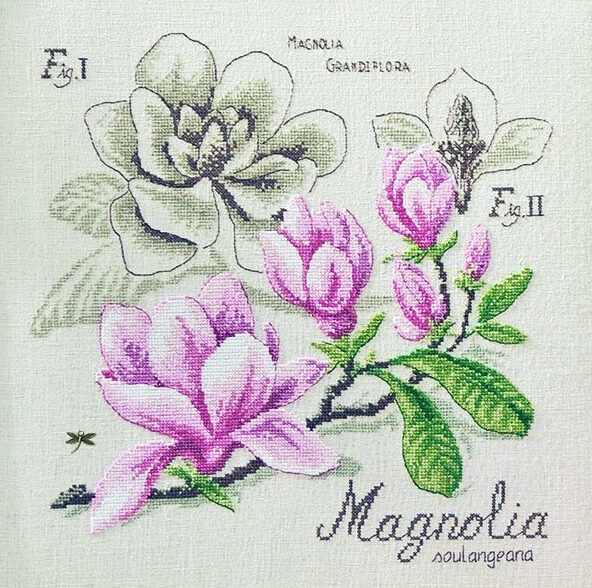 lin-etude-au-magnolia-maxi-grille-a-broder-au-point-de-croix