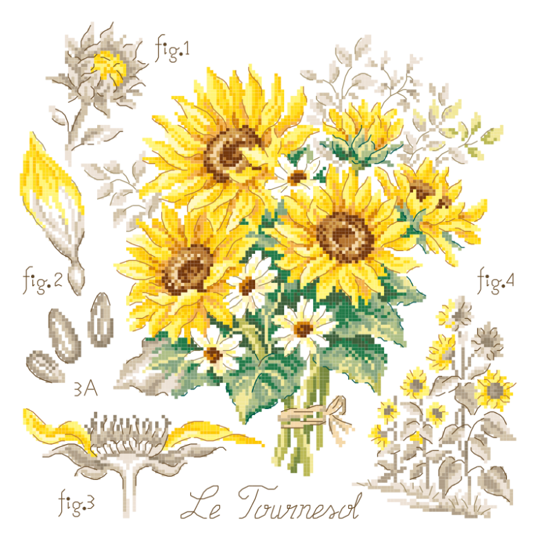 sommaire-tournesols