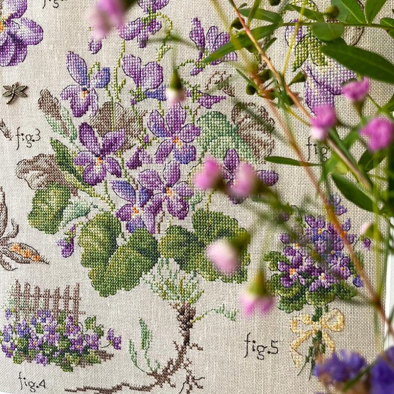 detail-violette-2