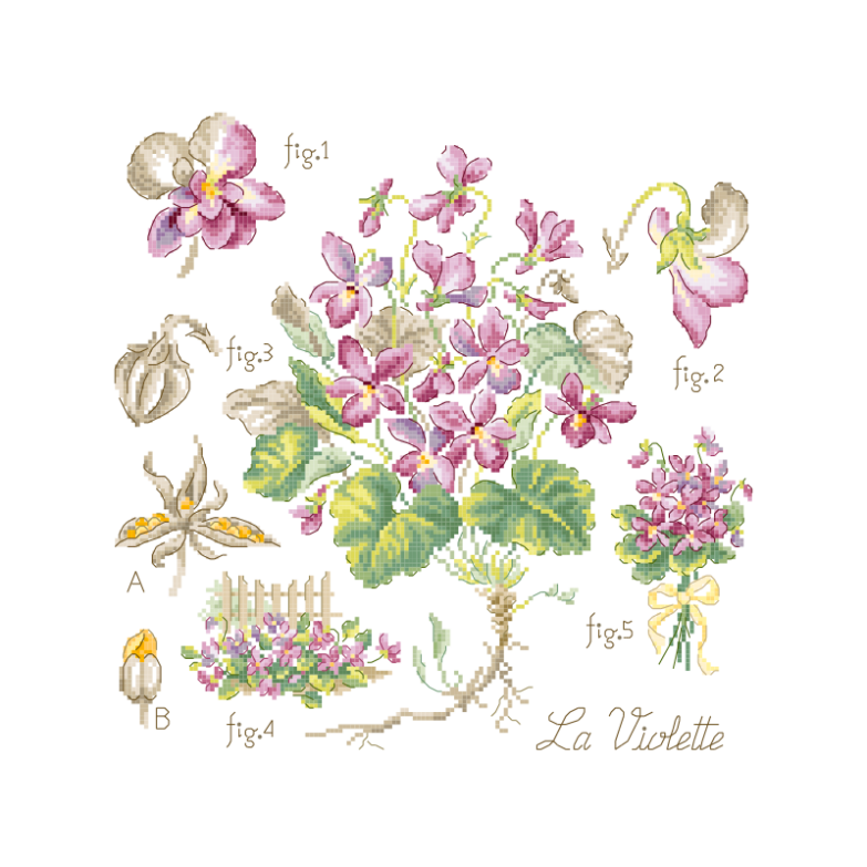 sommaire-violette