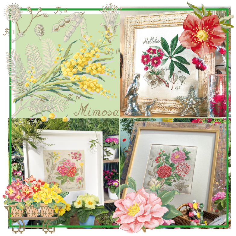etude-botanique-fleur-hiver