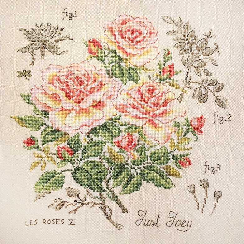 lin-etude-a-la-rose-just-joey-maxi-grille-2