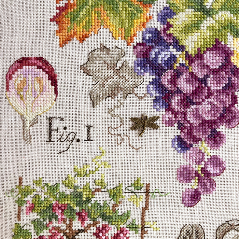 detail-5-raisin