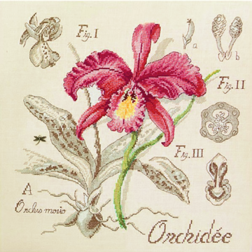 lin-etude-a-l-orchidee-maxi-grille-a-broder-au-point-de-croix