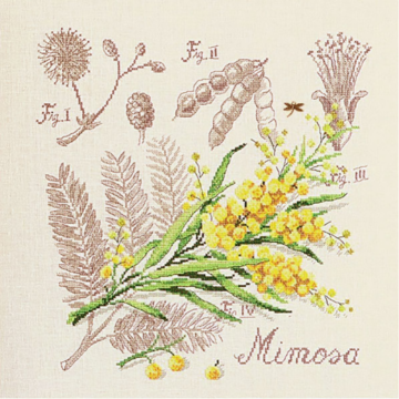 lin-etude-au-mimosa-maxi-grille-a-broder-au-point-de-croix