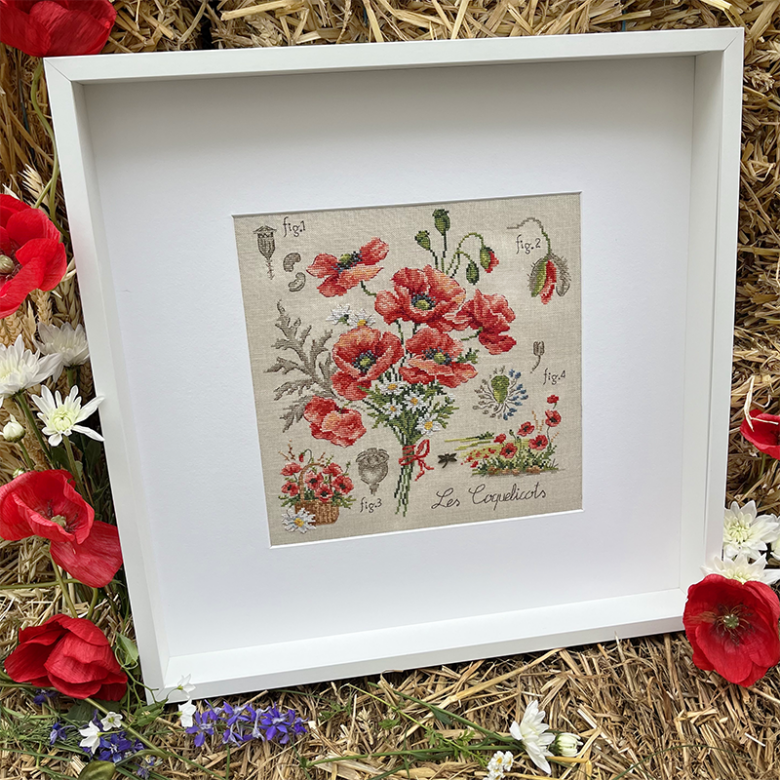 coquelicots