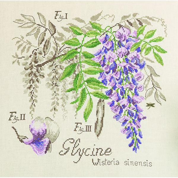 lin-etude-a-la-glycine-maxi-grille-a-broder-au-point-de-croix-2