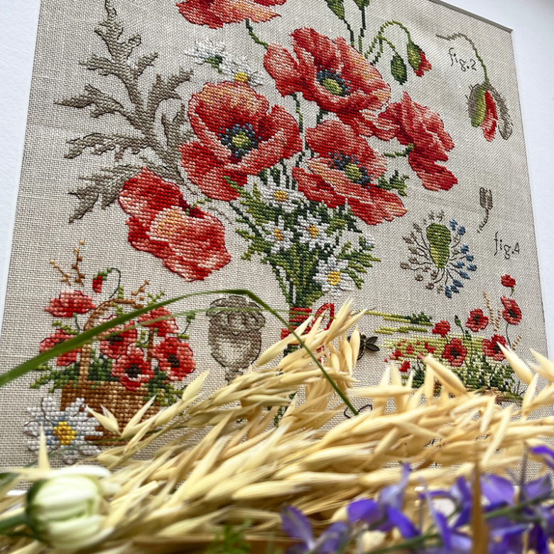 zoom-2-coquelicots